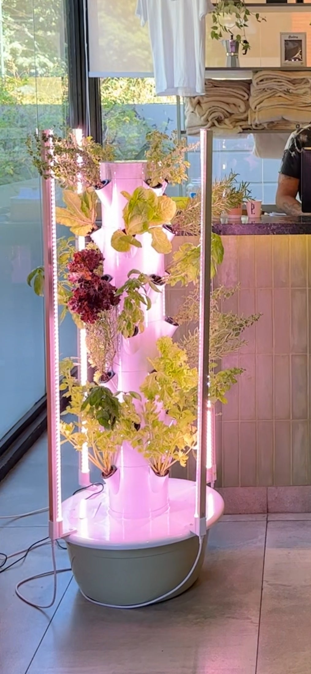 Torre con luces de cultivo instalada junto a un mostrador