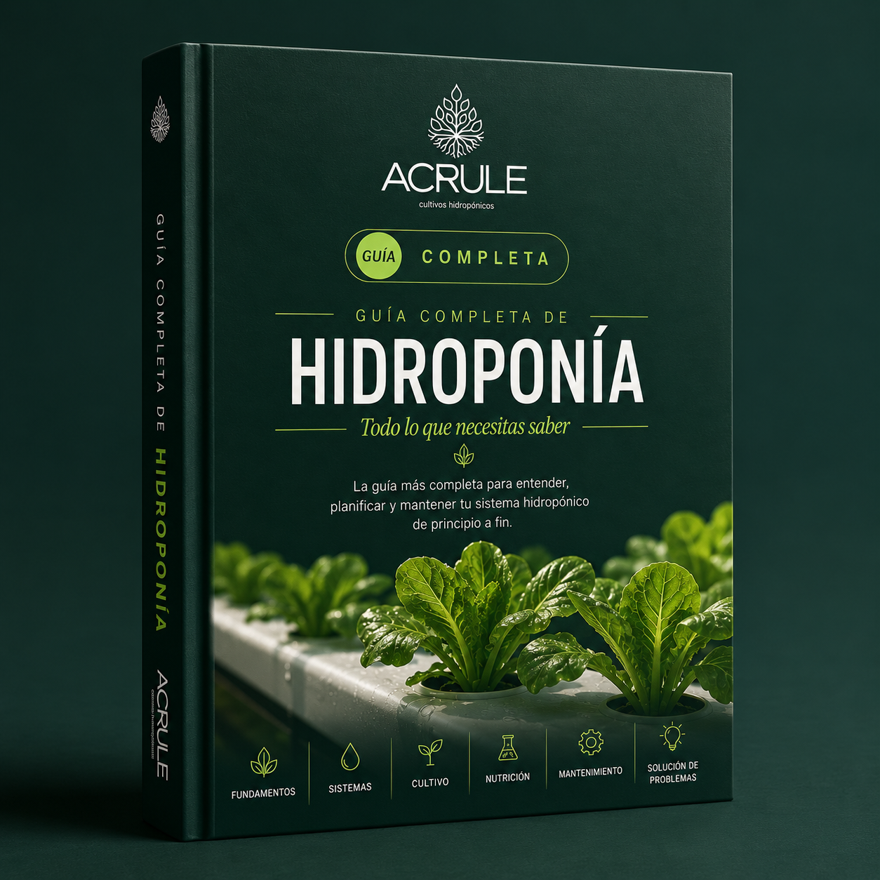 Ebook - Guia Completa Hidroponica