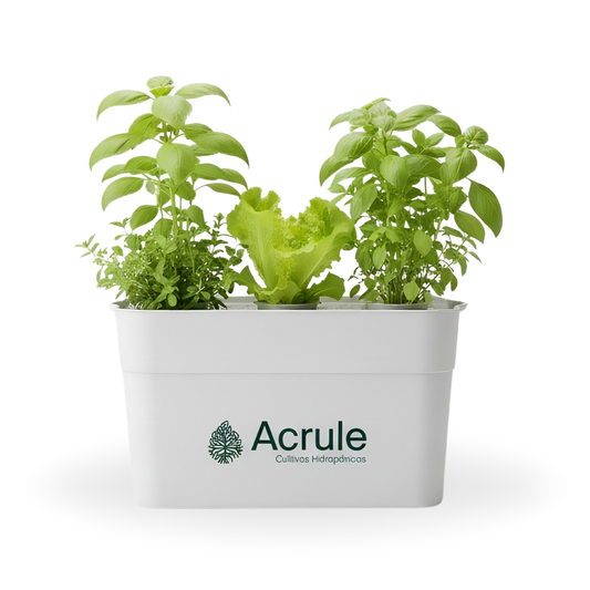 Mini Huerta Acrule 6 plantas