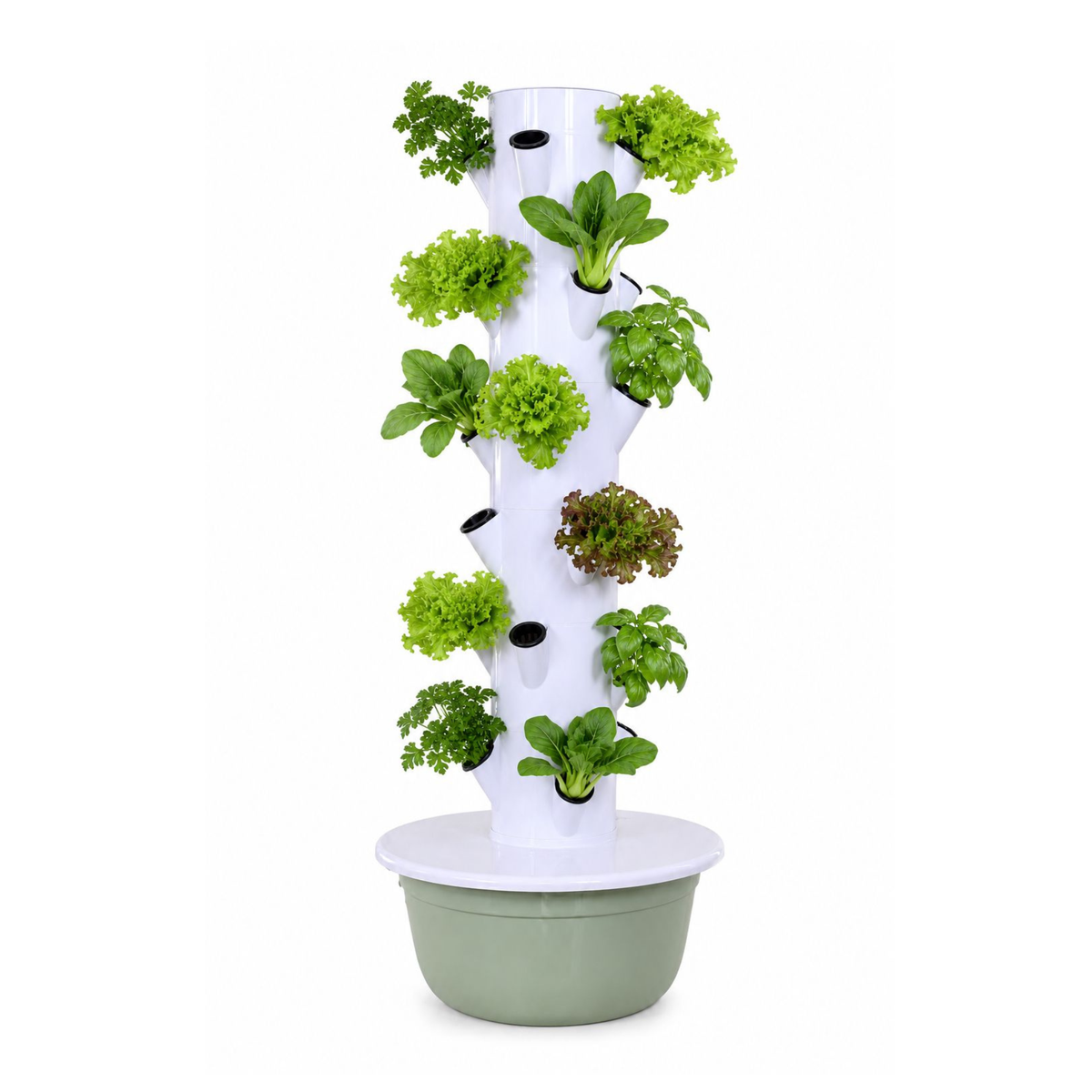 Huerta Acrule