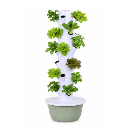 Huerta Acrule
