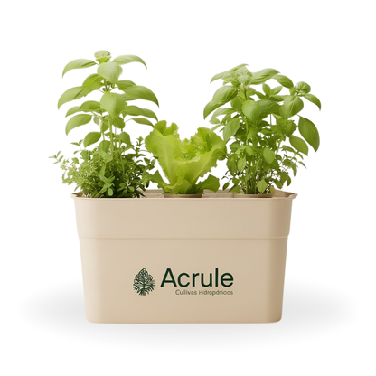 Mini Huerta Acrule 6 plantas