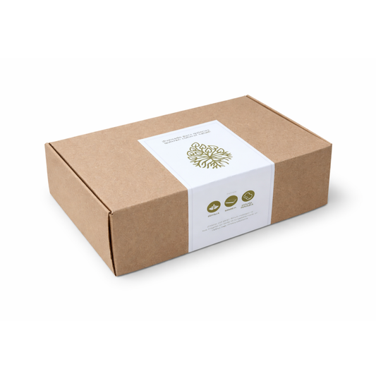 Kit Germinador + Semillas