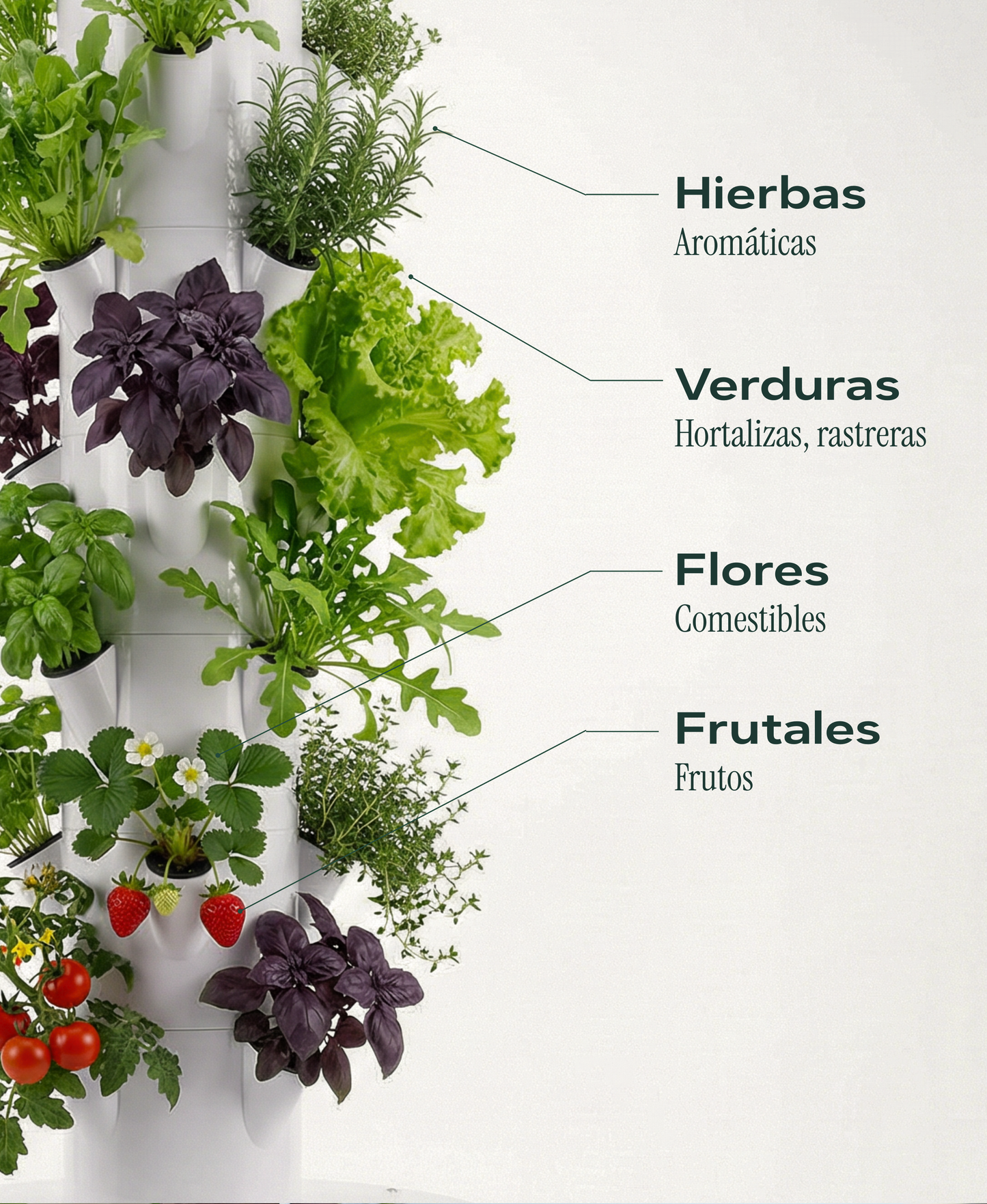 Huerta Acrule 1.0 24 Plantas