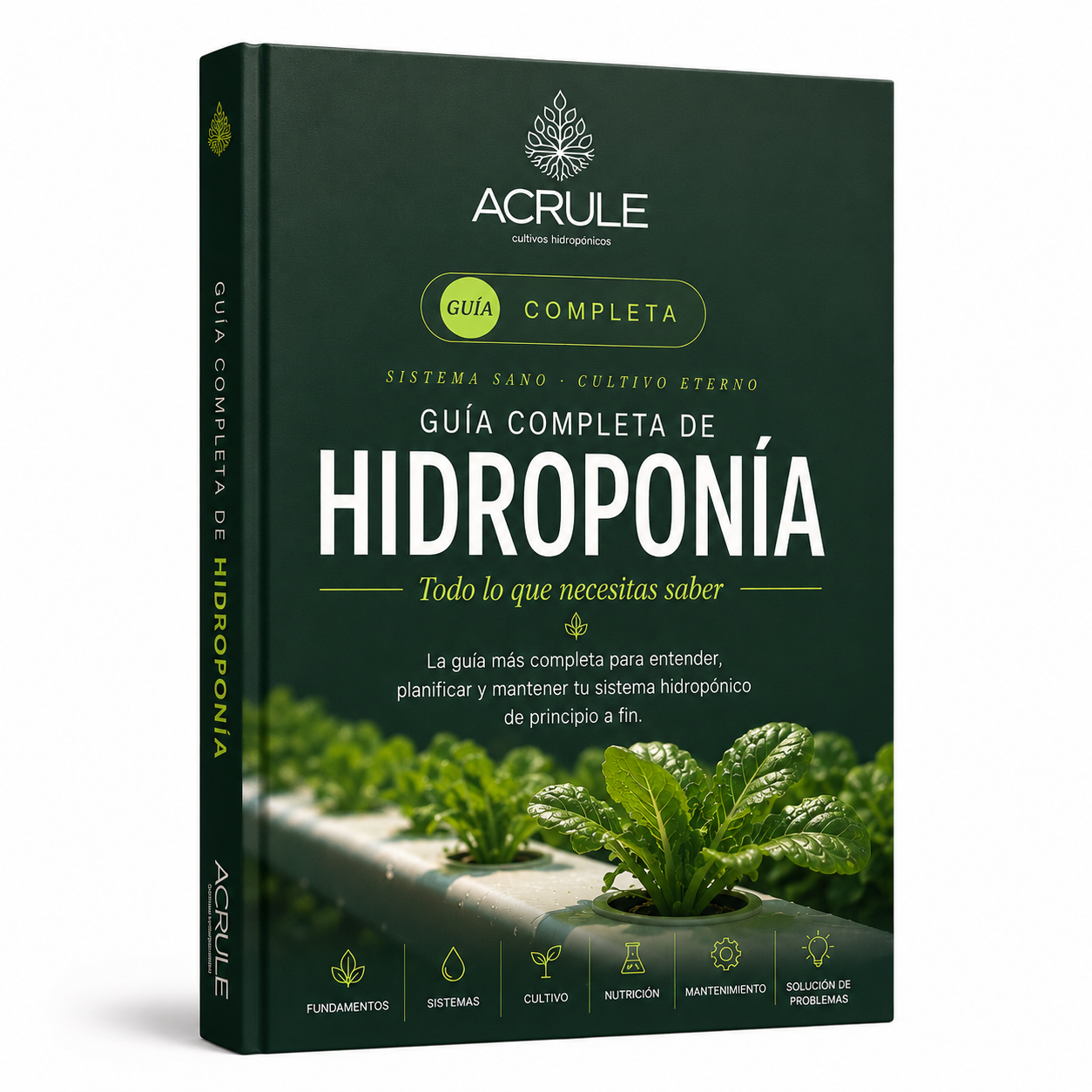 Ebook - Guia Completa Hidroponica