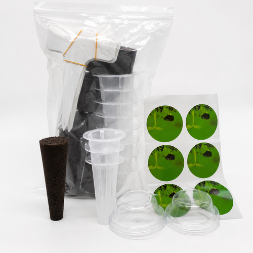 Consumibles Mini Huerta Led