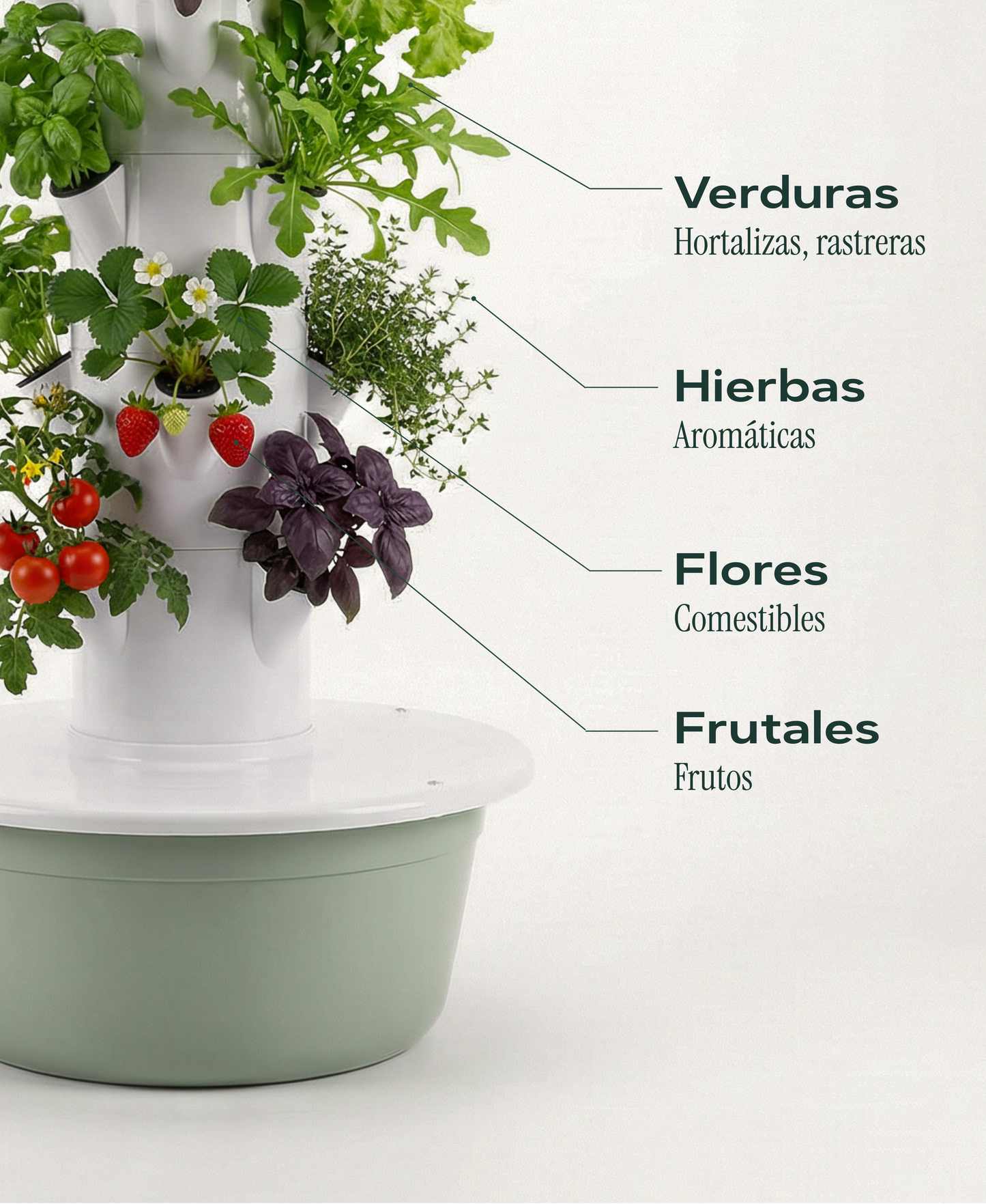 Huerta Acrule