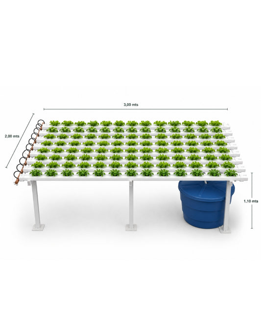 Mesada NFT hidropónica + insumos + capacitación (productiva y comercial)