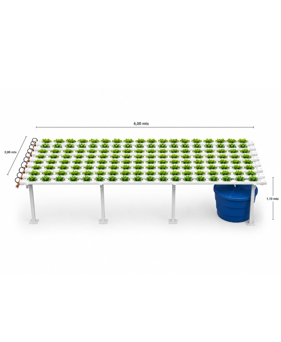 Mesada NFT hidropónica + insumos + capacitación (productiva y comercial)