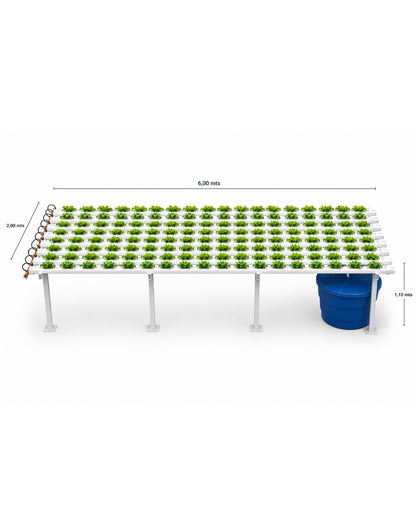 Mesada NFT hidropónica + insumos + capacitación (productiva y comercial)