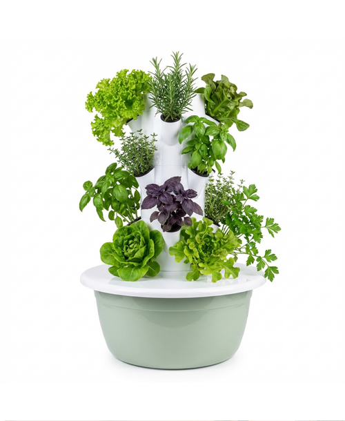Huerta Acrule