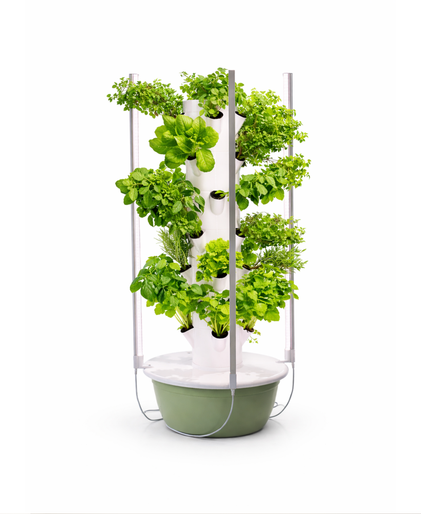 Huerta Acrule