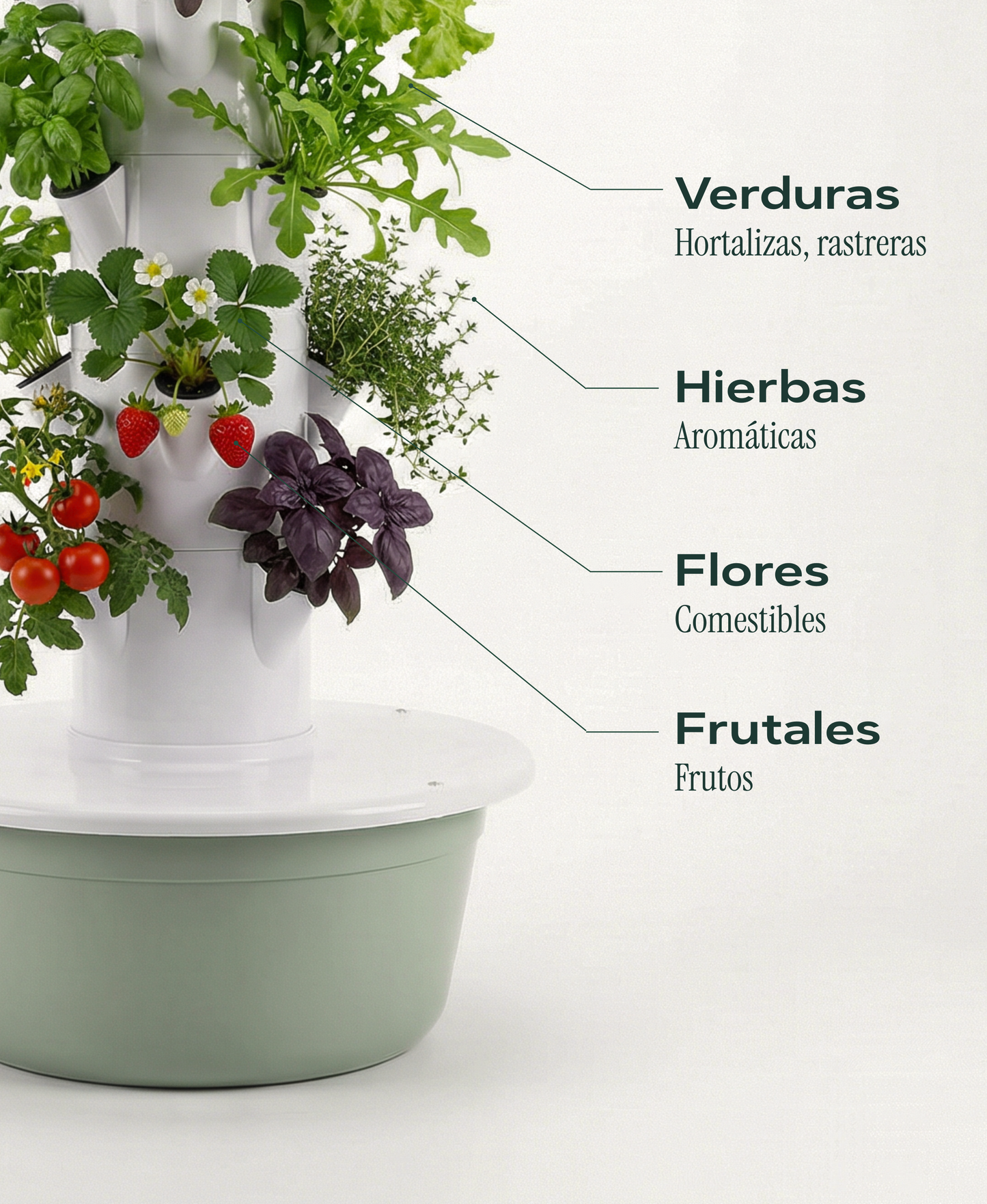 Huerta Acrule