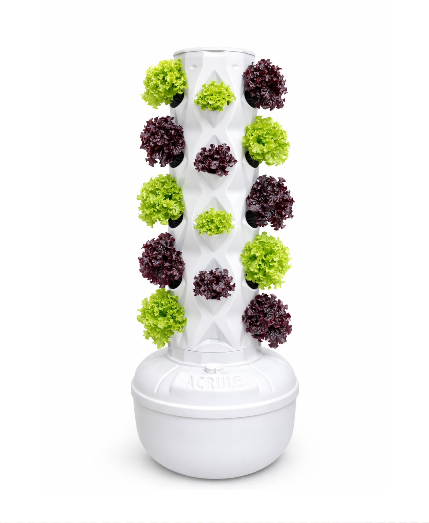 Huerta Acrule 1.0 24 Plantas