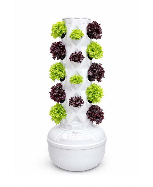 Huerta Acrule 1.0 24 Plantas