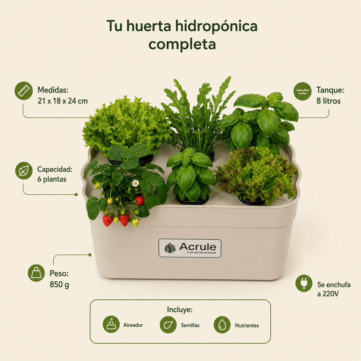Mini Huerta Acrule 6 plantas