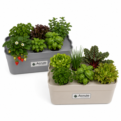 Mini Huerta Acrule 6 plantas