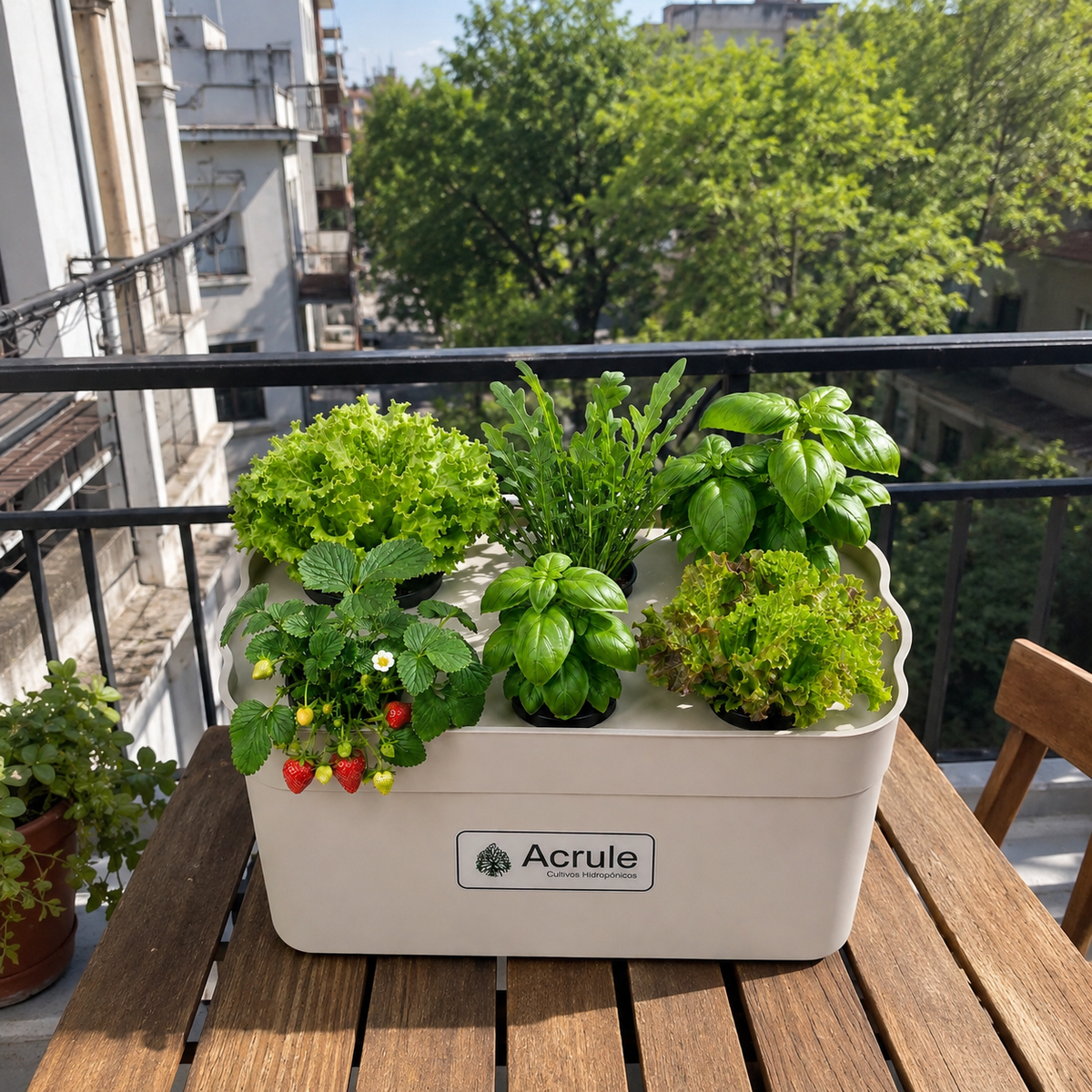 Mini Huerta Acrule 6 plantas