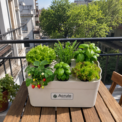 Mini Huerta Acrule 6 plantas