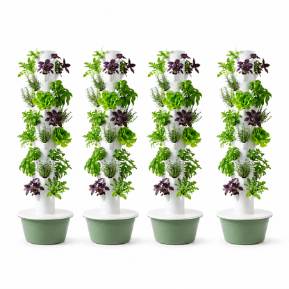 Huerta Acrule 32 x 4 (128 plantas)