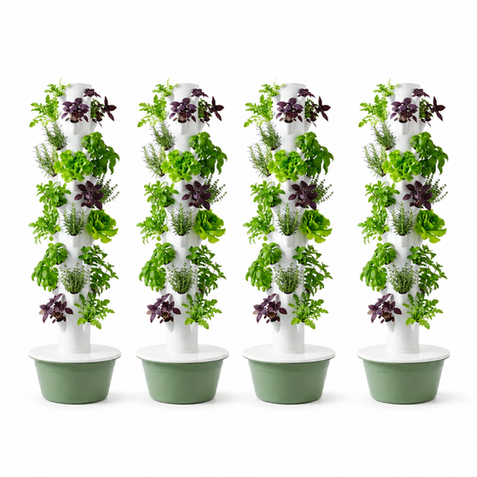 Huerta Acrule 32 x 4 (128 plantas)