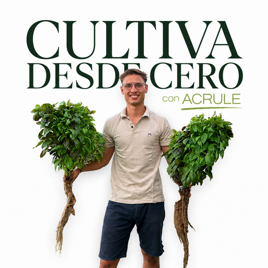 Curso - Cultiva desde 0 con Acrule