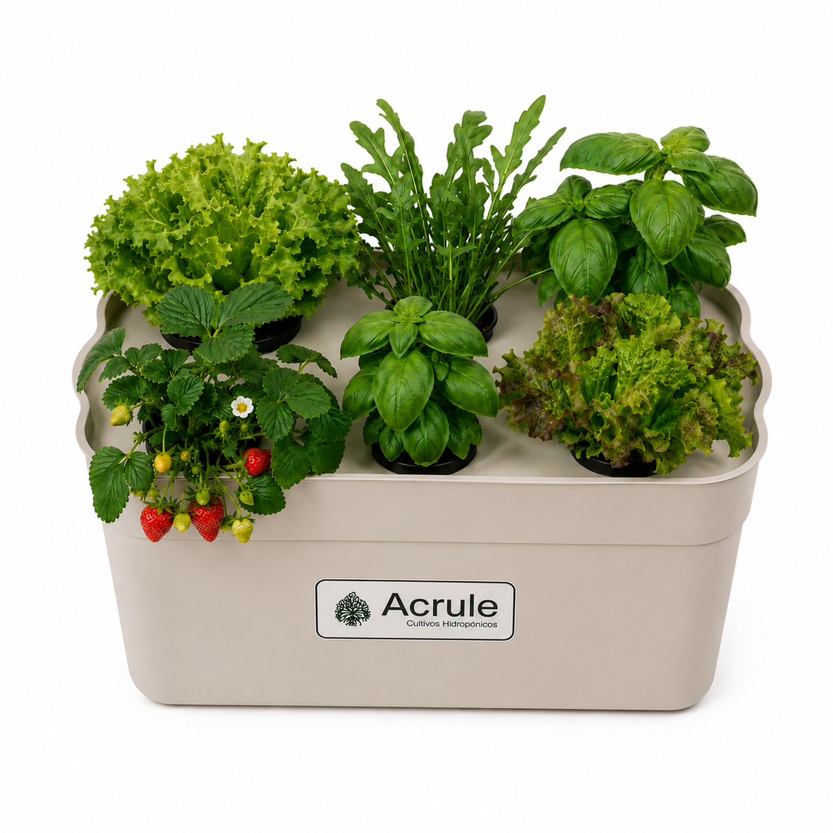 Mini Huerta Acrule 6 plantas