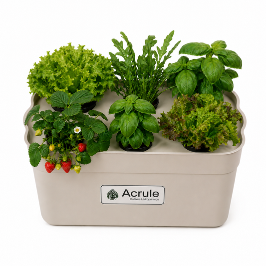 Mini Huerta Acrule 6 plantas