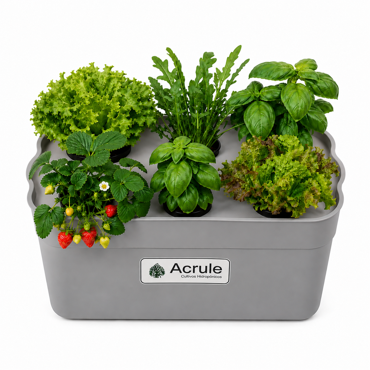 Mini Huerta Acrule 6 plantas