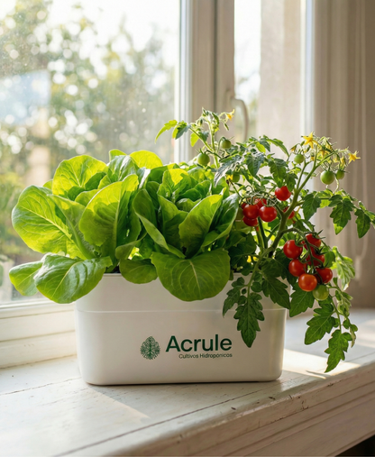 Mini Huerta Acrule 6 plantas
