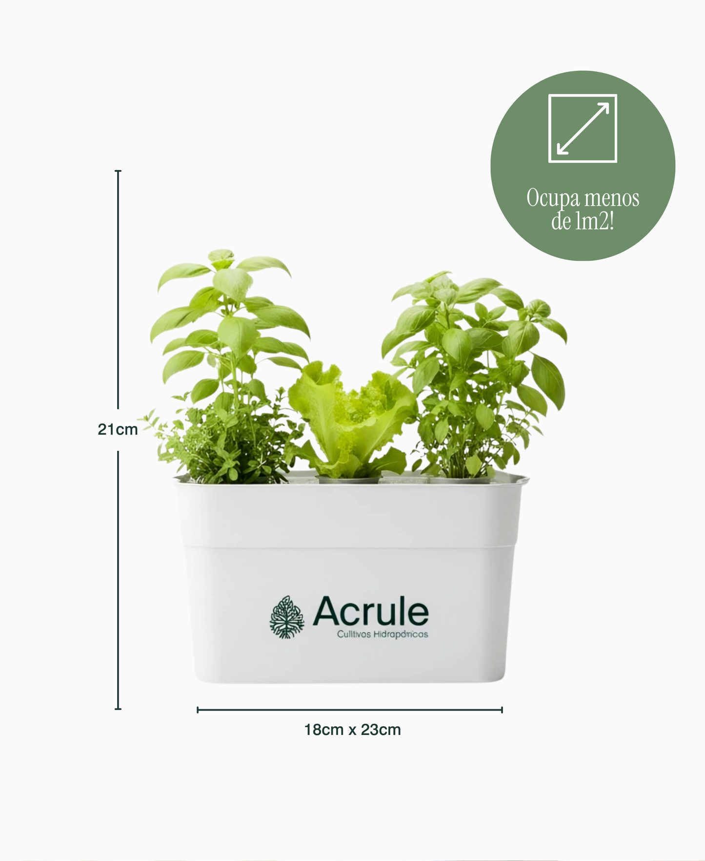 Mini Huerta Acrule 6 plantas