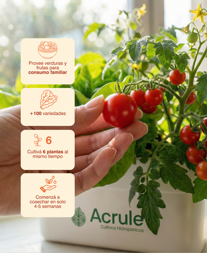 Mini Huerta Acrule 6 plantas