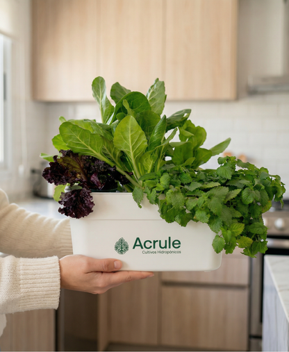 Mini Huerta Acrule 6 plantas