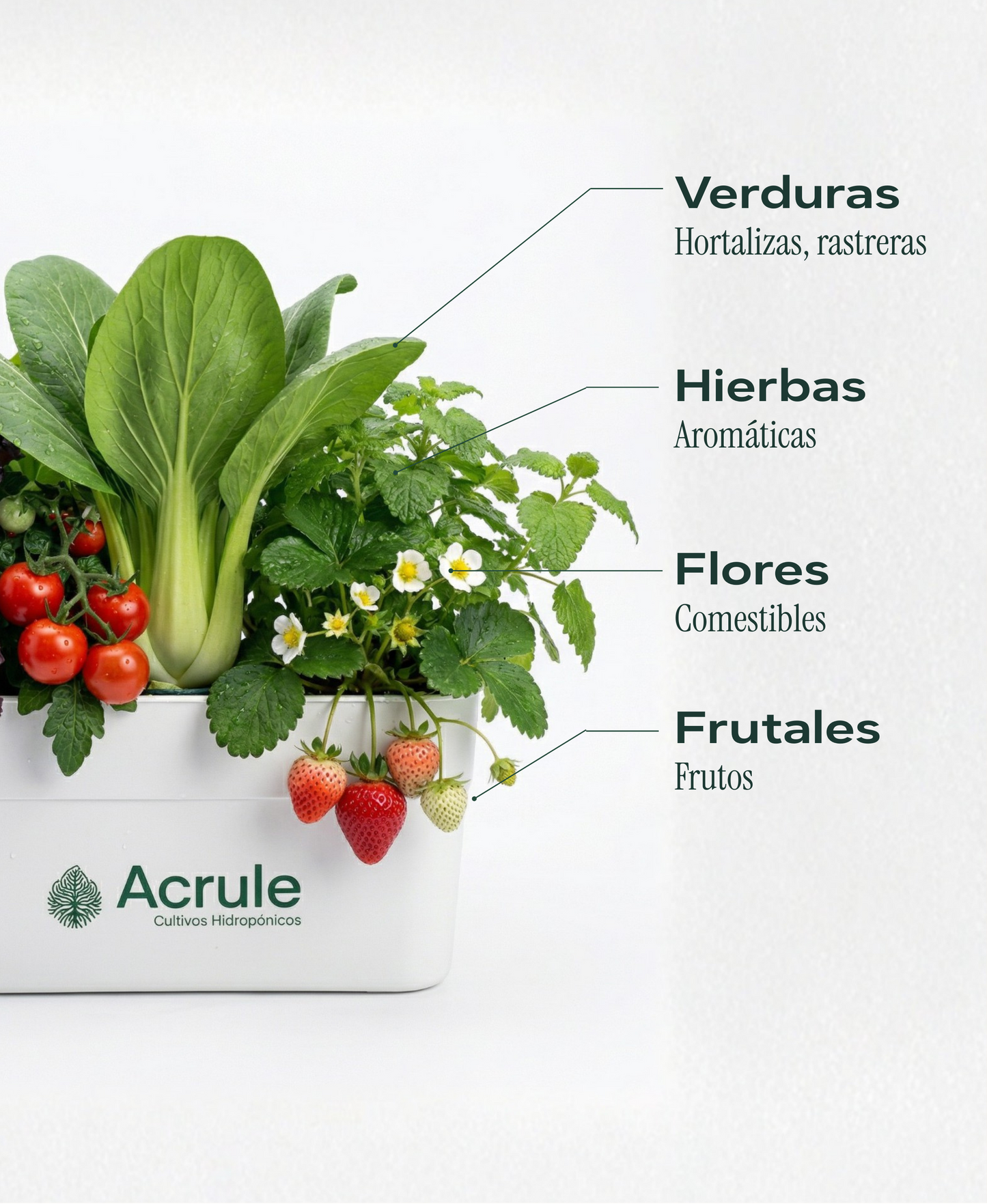 Mini Huerta Acrule 6 plantas