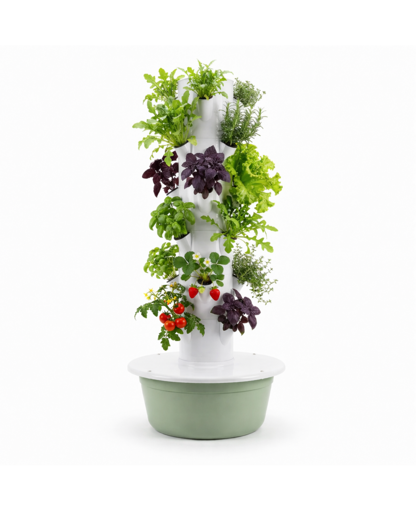 Huerta Acrule