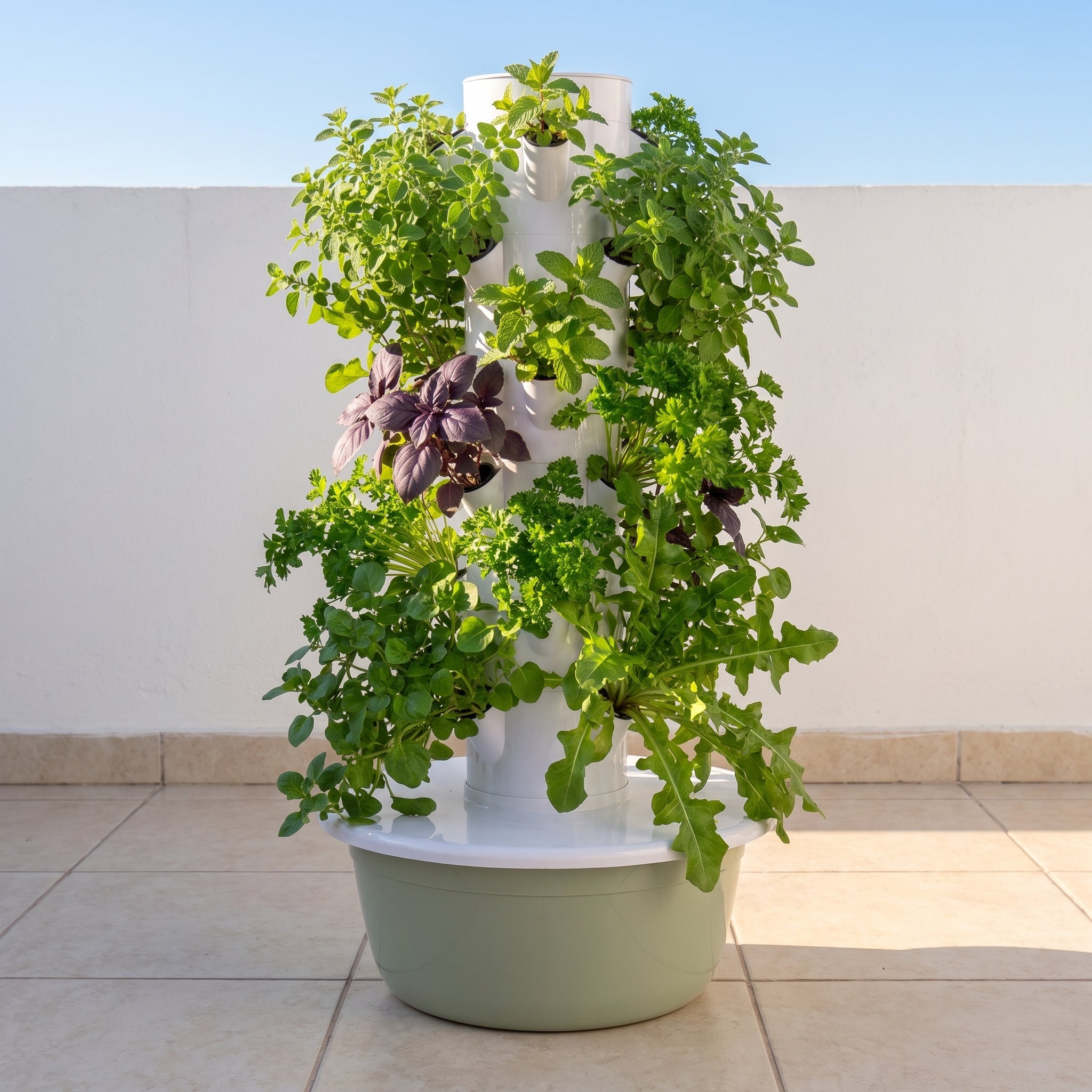 Huerta hidropónica en un patio