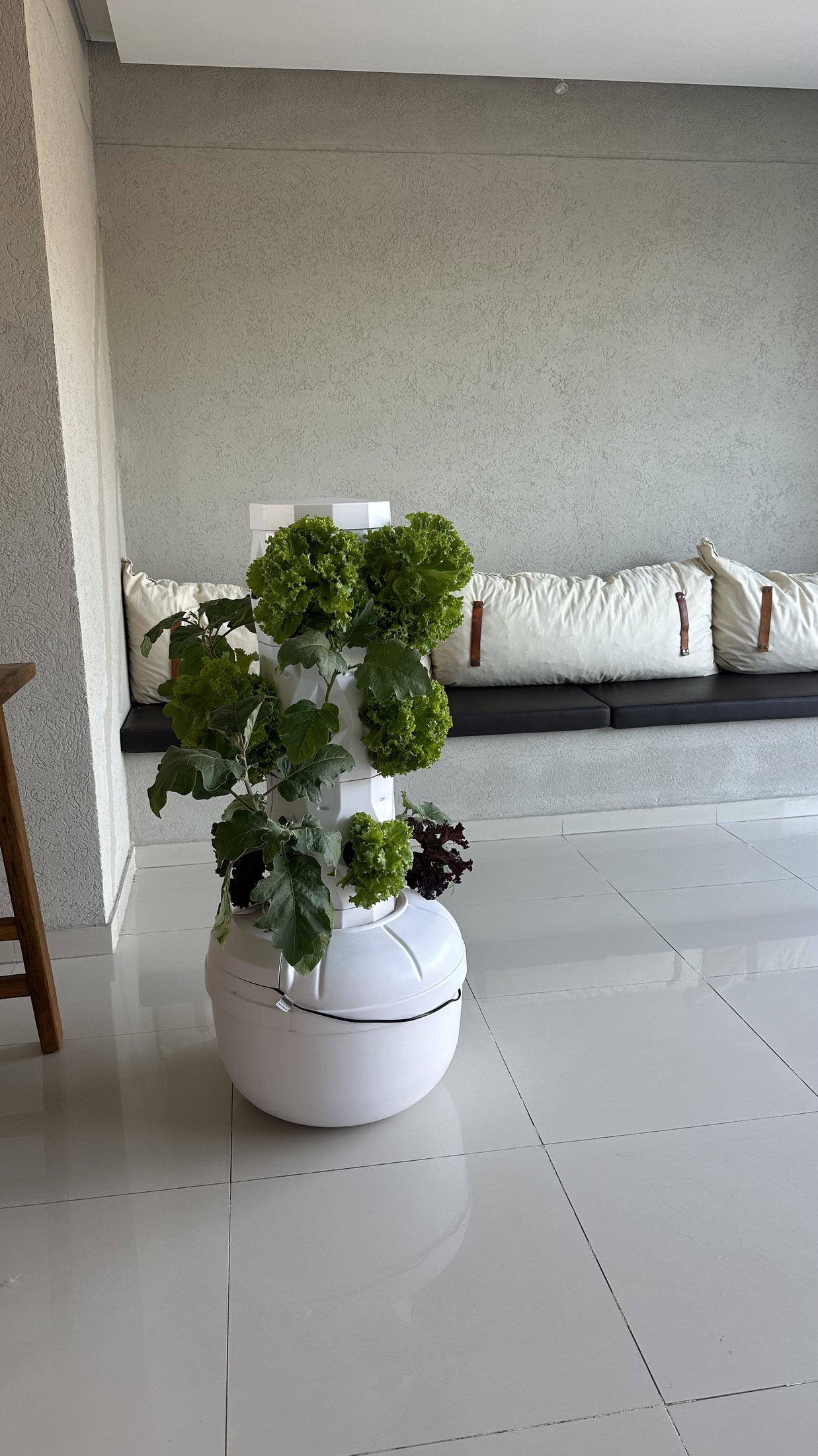 Huerta vertical plantada en un ambiente de la casa