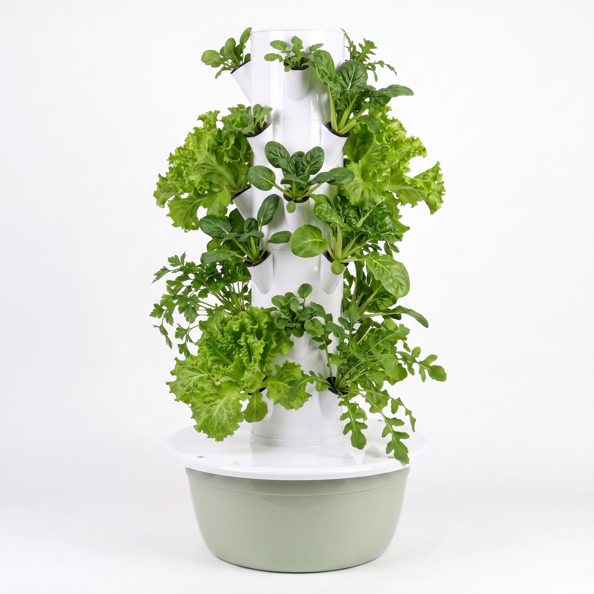 Huerta vertical ACRULE con plantas sobre fondo claro