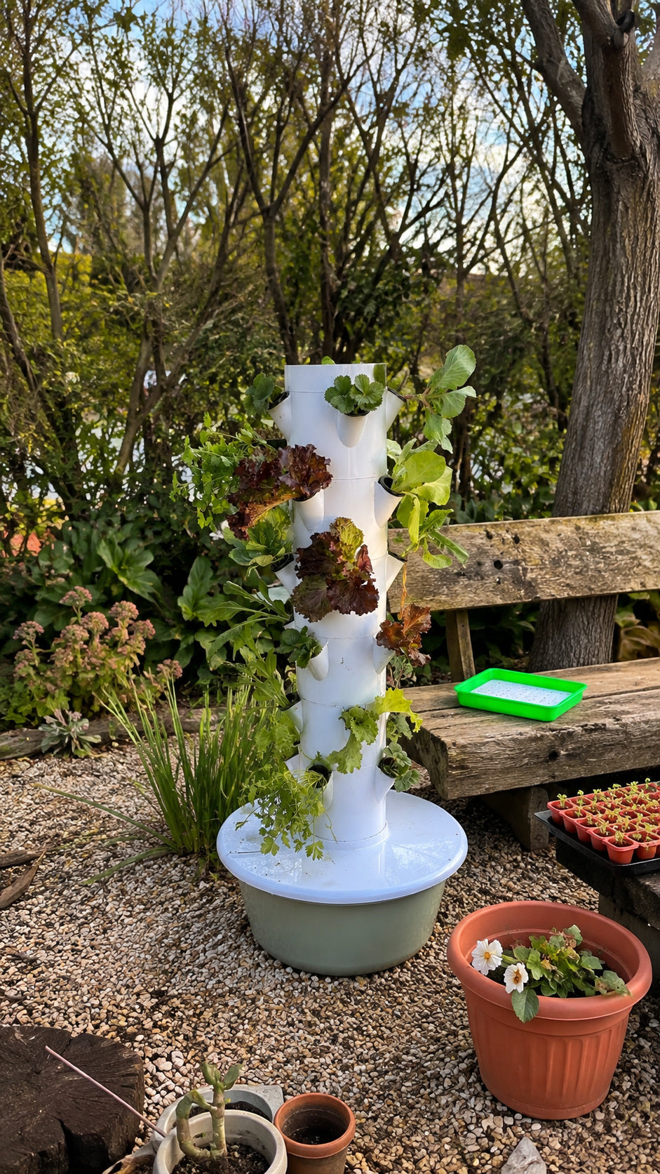 Primeros cultivos instalados en la torre del jardín