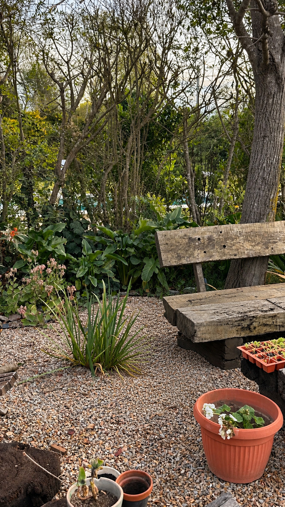 Rincón del jardín con un banco, antes de instalar la huerta