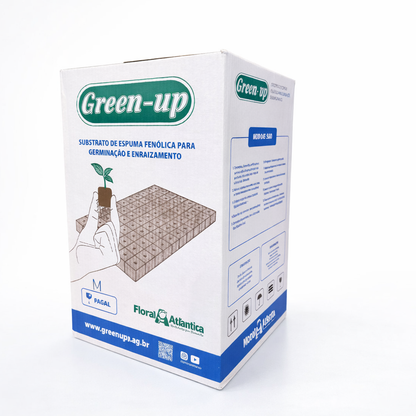 Espuma Fenólica Green Up 2,5×2,5×3,0 — Caja 10u